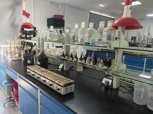 黑龍江玉米的黃金鏈 深加工產(chǎn)品以技術(shù)開(kāi)發(fā)贏得國(guó)際高身價(jià)